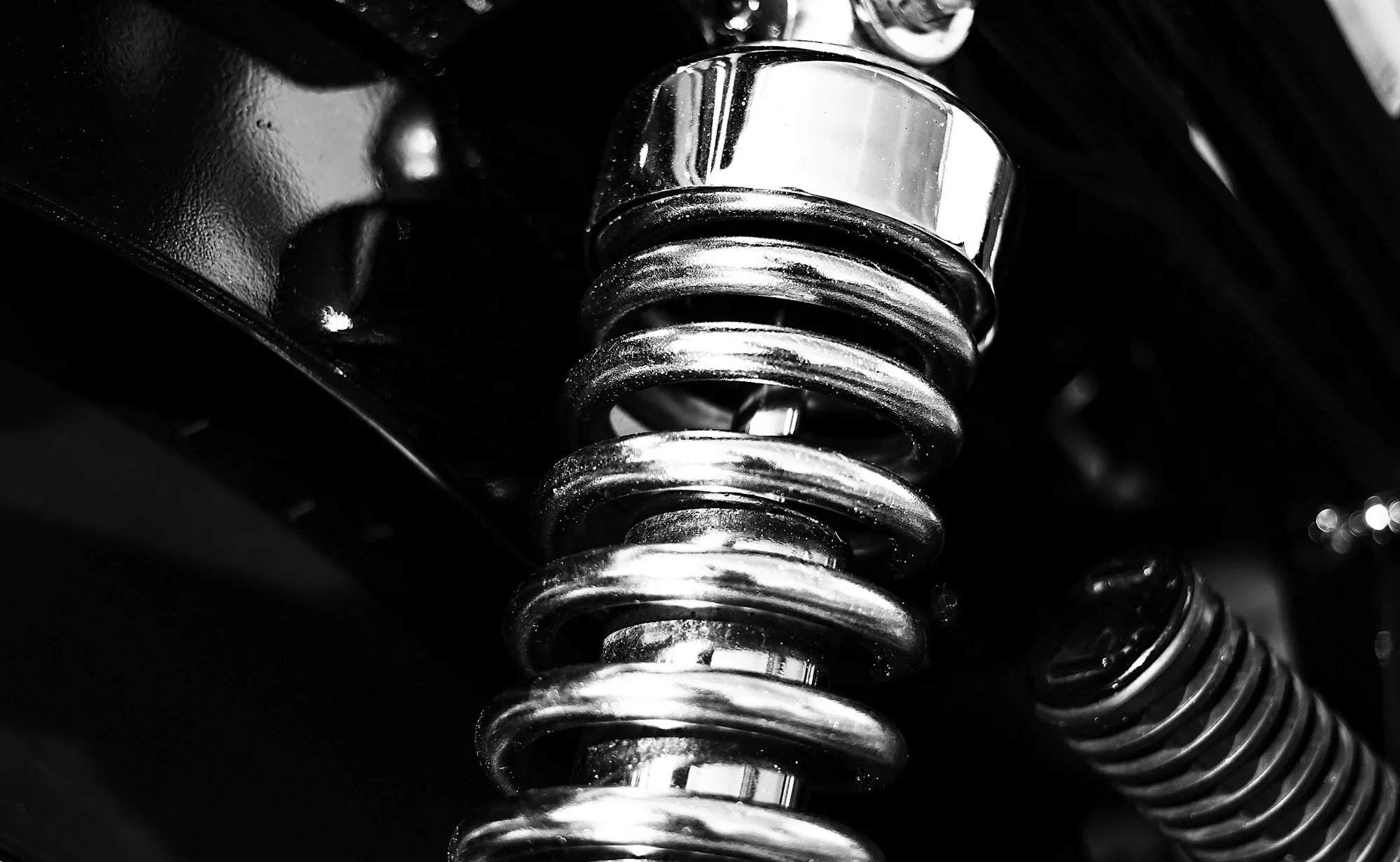 Coil spring and shock absorber on a vehicle suspension